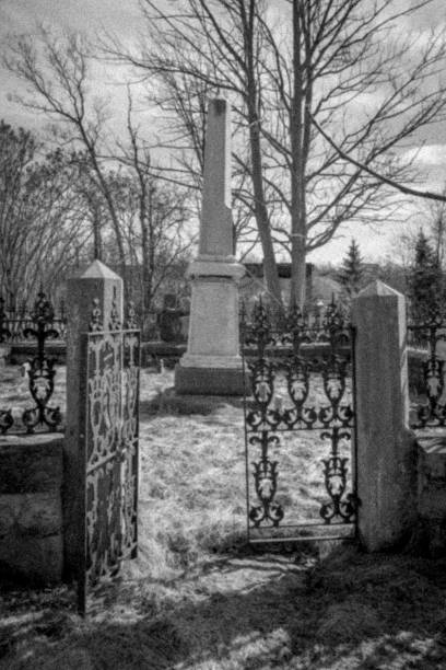 istock Abandoned Pioneer Cemetery, Niagara, Ontario 1384861393
