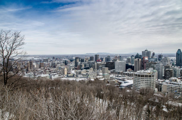 istock Montreal skyline from belvedere Kondiaronk 1384861642
