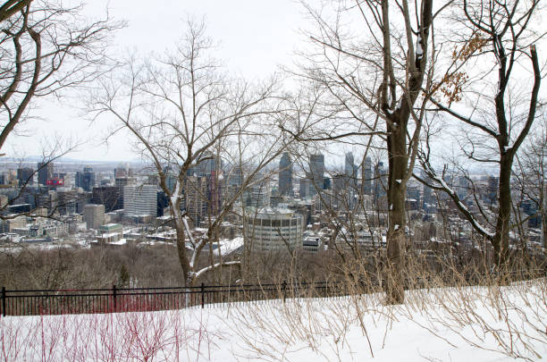 istock Montreal skyline from belvedere Kondiaronk 1384862417
