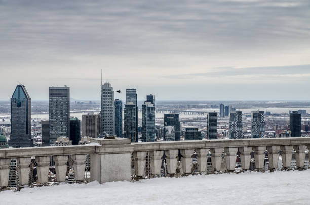 Montreal skyline from belvedere Kondiaronk