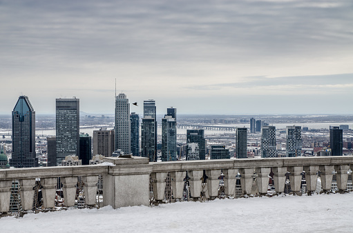 Montreal skyline from belvedere Kondiaronk of Mount-Royal during day of winter