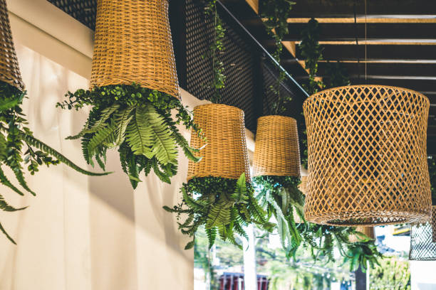 Potted ferns in the bamboo weaved baskets or planters hanging upside down