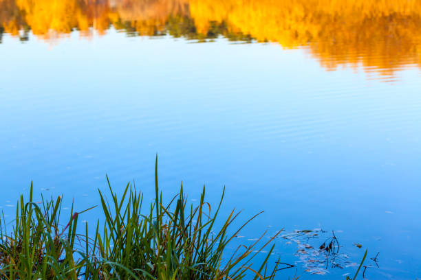 Blue sky reflects in calm water surface of lake. Colorful autumn background with large space for your own text