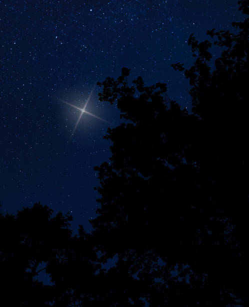istock Christmas star rising over the trees 1384866653