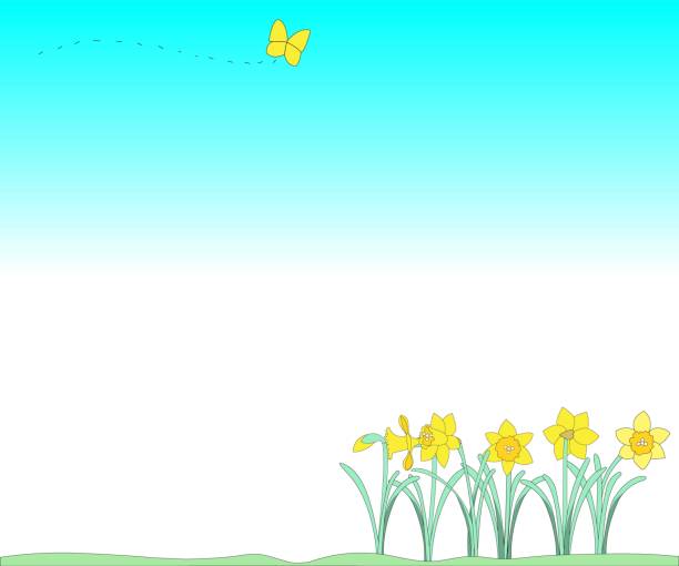 illustrations, cliparts, dessins animés et icônes de un cadre avec des fleurs printanières et un papillon jaune volant dans le ciel bleu - spring daffodil flower sky
