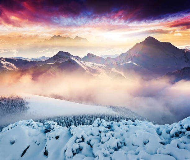 winter Fantastic winter landscape. Colorful overcast sky. Creative collage. Beauty world. snow sunset winter mountain stock pictures, royalty-free photos & images