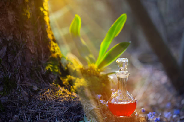 magic potion in bottle in  fairy forest