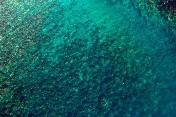 istock crystal clear Sicilian sea 1384871769
