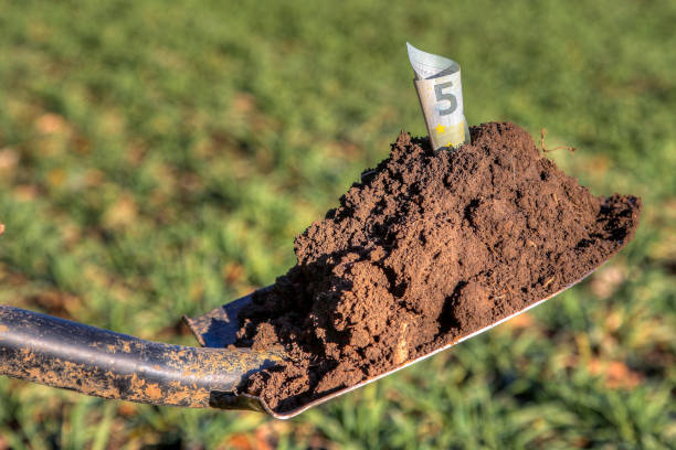 Shovel with fertile soil in which a euro banknote is stuck. stock photo