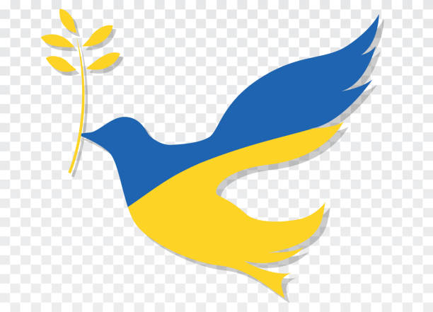 ilustraciones, imágenes clip art, dibujos animados e iconos de stock de paloma de la paz. colores de la bandera ucraniana. aislado en fondo transparente - ukraine war