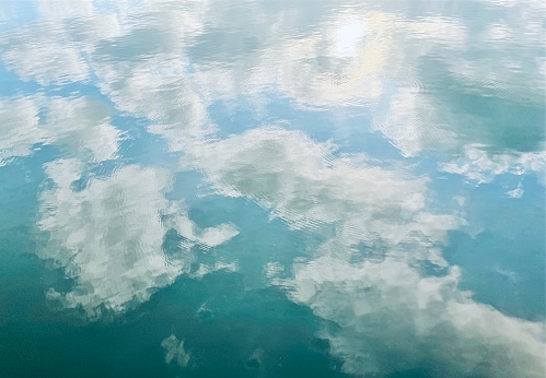 Reflection of trees on the water surface on a summer sunny day. Abstract photography.