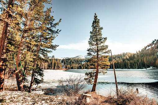 Twin Lakes in Mammoth Lakes