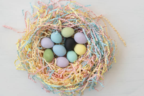 istock protests. Easter background. Nest of colored tinsel. Hidden among the colorful quail eggs is a black egg. Concept 1384875537