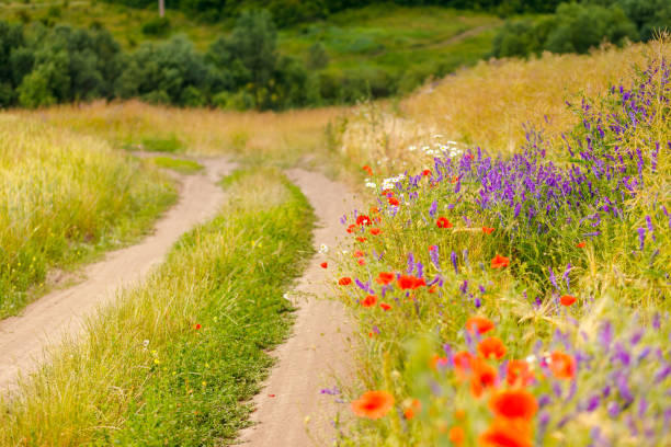 istock Beautiful countryside landscape 1384876070