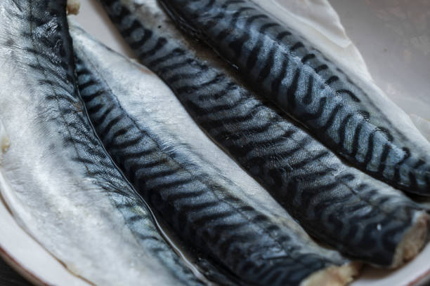 filé de peixe fresco em madeira - mackerel - fotografias e filmes do acervo