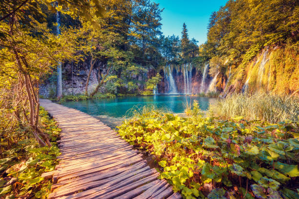 istock Plitvice Lakes National Park 1384881649