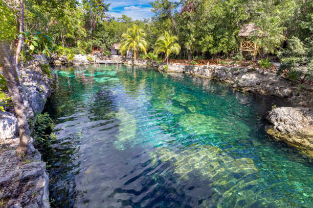 Mexico tourism destination, caves and pools of Cenote Casa Tortuga near Tulum and Playa Del Carmen Mexico tourism destination, caves and pools of Cenote Casa Tortuga near Tulum and Playa Del Carmen. playa del carmen stock pictures, royalty-free photos & images