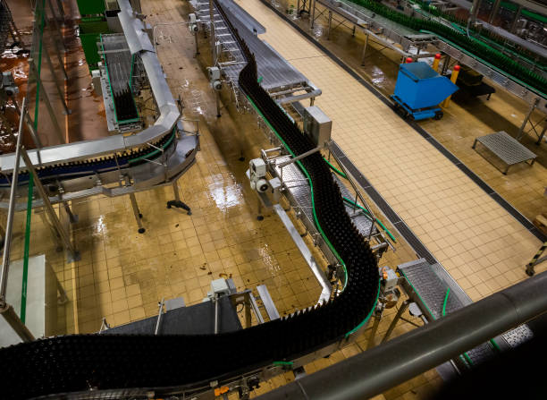 istock Beer bottles on bottling line 1384883173