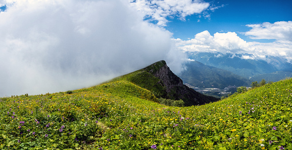 Beautiful meadow on the top of the mountain