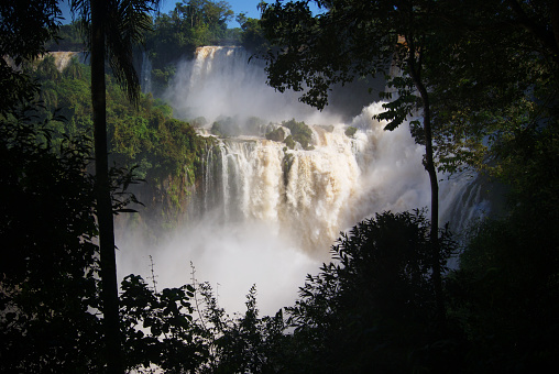 Iguacu falls nestled in the Brazilian rainforest.