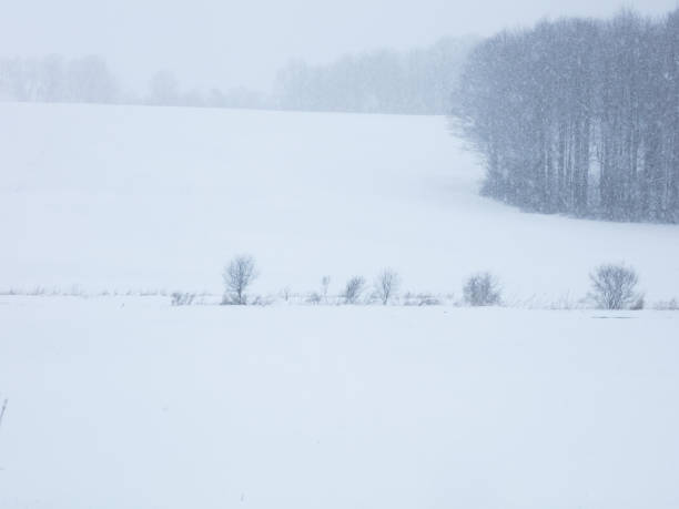 istock Snowy rural landscape 1384890249