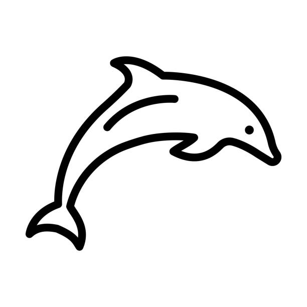 1,594 Cartoon Of Outline Of Dolphin Illustrations & Clip Art - iStock