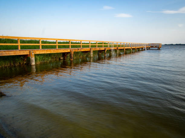 istock Wooden jetty and reed grass 1384893499