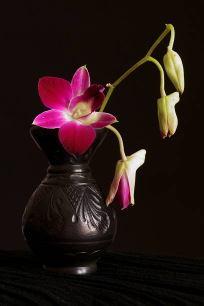 istock Background with cyclam orchid in a vase 1384897064