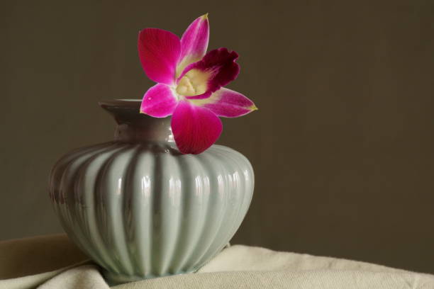 istock Background with cyclam orchid in a vase 1384897066