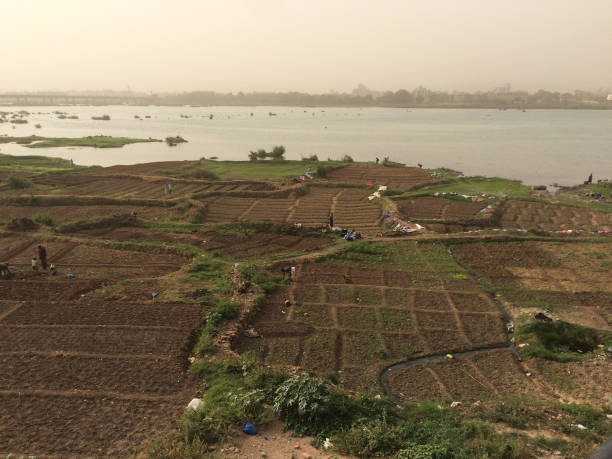 말리 바마코의 니제르 강 - niger river 뉴스 사진 이미지