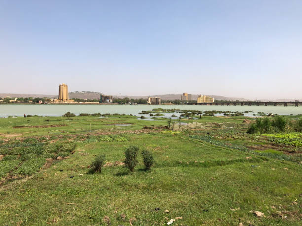 말리 바마코의 니제르 강 - niger river 뉴스 사진 이미지