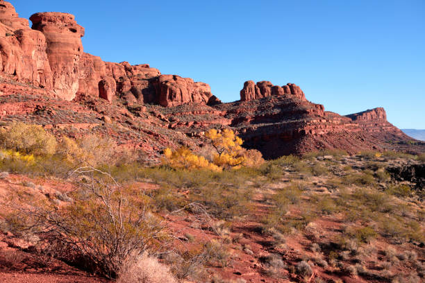 istock North Black Rocks in Snow Canyon State Park, UT 1384898361