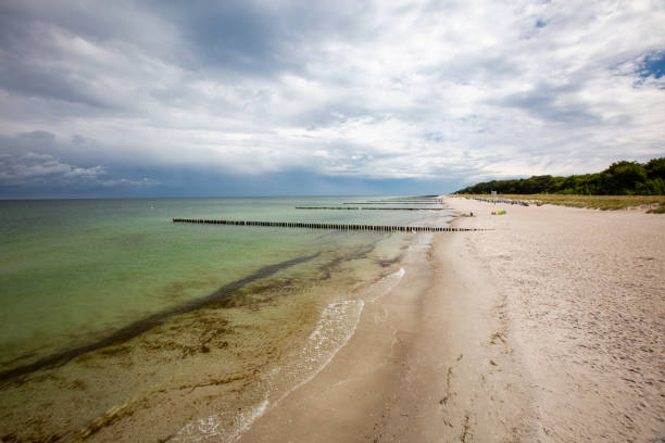 Beautiful beach view at the peninsula Darss, Mecklenburg Vorpommern, Germany with cloudy sky