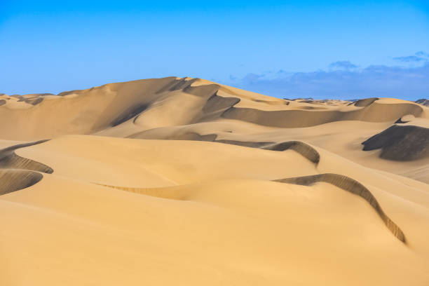 istock Namibia, the Namib desert 1384903917
