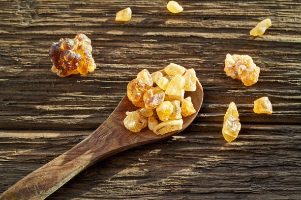 frankincense resin on a spoon - tree resin imagens e fotografias de stock