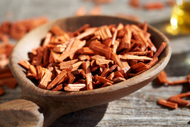 bois de santal rouge sur une cuillère en bois, gros plan - bois de santal photos et images de collection