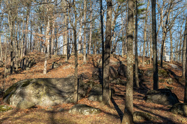 pomnik 20 ochotniczej piechoty maine i lasy na little round top w gettysburg national military park - american civil war battle conflict gettysburg national military park zdjęcia i obrazy z banku zdjęć