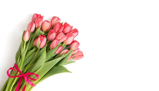 Ramo de tulipanes rosados con lazo aislado sobre fondo blanco. Hermosas flores de primavera. Día de San Valentín, concepto del Día de las Madres. Espacio de copia, vista superior, colocación plana. photo