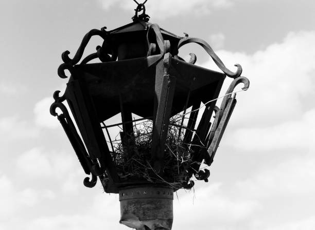Vintage Broken Street Lamp with a bird's nest inside