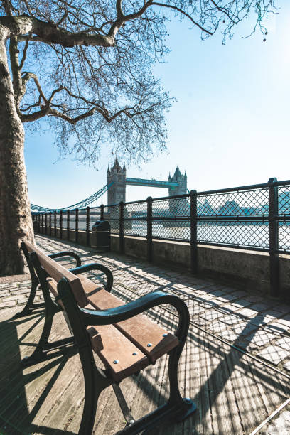 park bench with view to river thames and tower bridge in london - london england morning sunlight tower bridge imagens e fotografias de stock