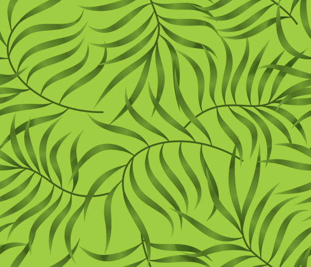 illustrazioni stock, clip art, cartoni animati e icone di tendenza di senza cuciture verde felce foglia primavera estate sfondo pattern - palm leaf frond leaf backgrounds