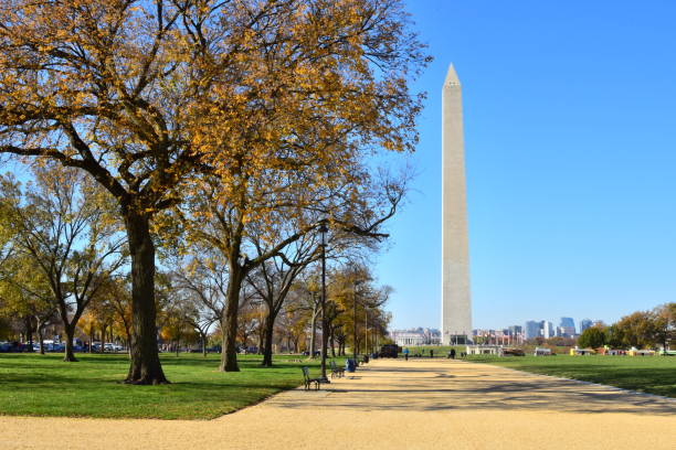 istock Washington Monument and the Mall 1384939241