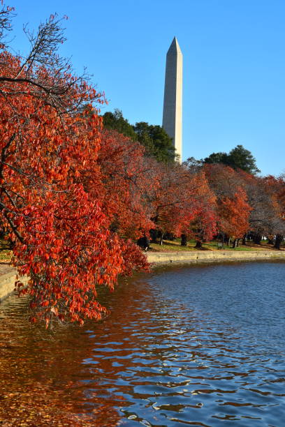 istock Washington Monument and Autumn Color 1384941899