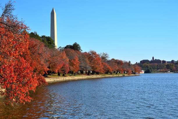 istock Washington Monument and Autumn Color 1384941905