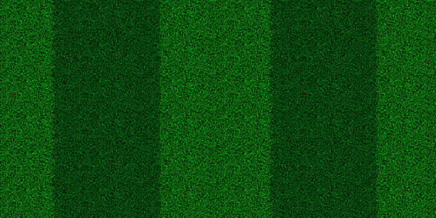 Green striped field with astro turf grass texture pattern Green striped field with astro turf grass texture seamless pattern. Carpet or lawn top view. Vector background. Baseball, soccer, football or golf game. Fake plastic or fresh ground for game play. backyard background stock illustrations