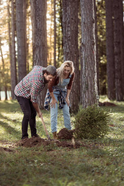 istock Beautiful couple planting a tree 1384967032