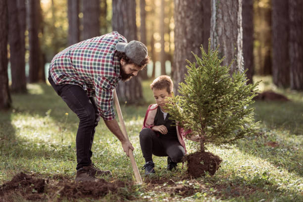 istock Father and son planting a tree 1384969785