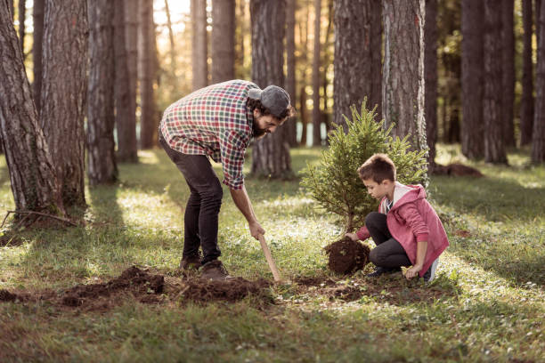 istock Father and son planting a tree 1384971163