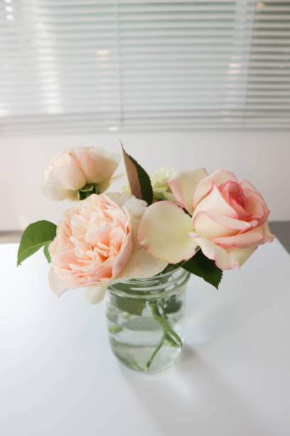 istock roses in the vase,pink rose 1384980743