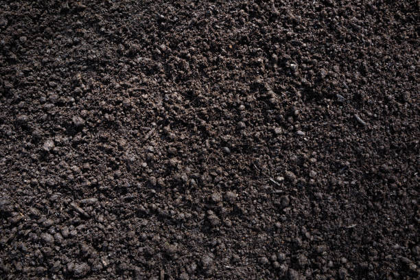 Composted Cow Manure Background Fresh bed of composted cow manure background in a garden cow dung stock pictures, royalty-free photos & images